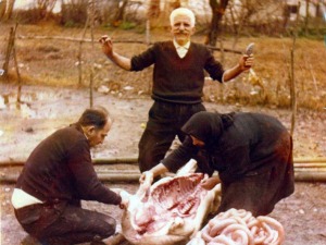 gourounoxara