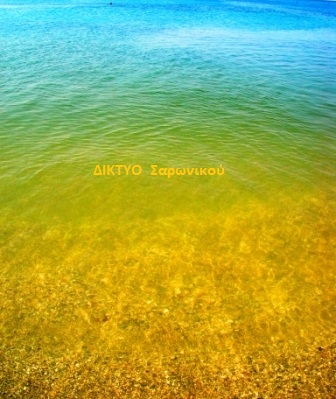 d saronikou fytoplagkton