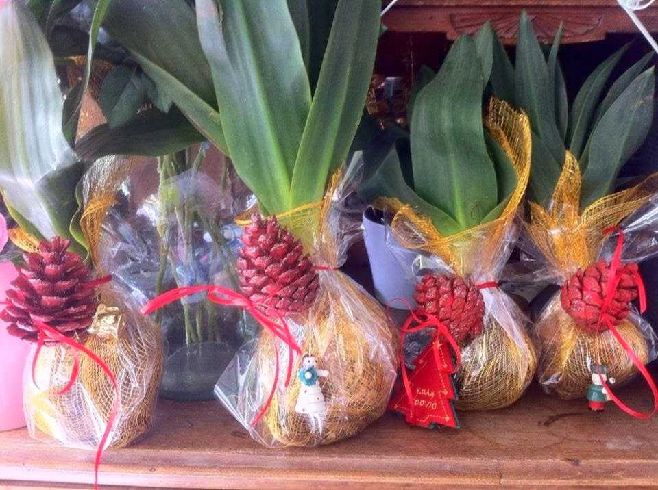 kremmides-anthemoessa