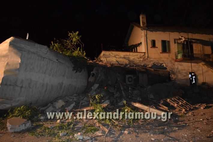 treno1_adendro_aftodioikisi