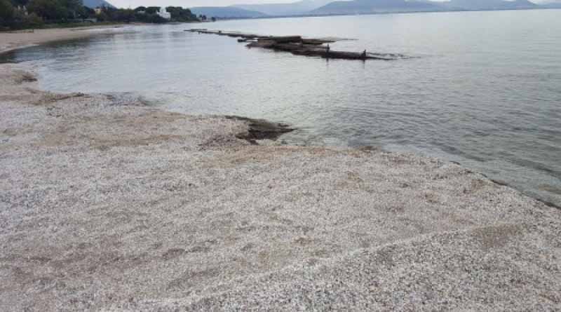 zoumperi_paralia_aftodioikisi