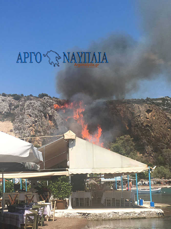 fotia_vivari1