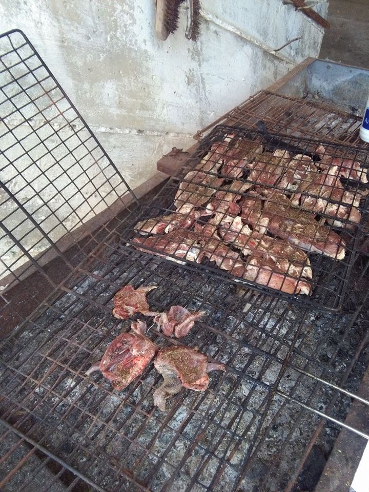 kinigi