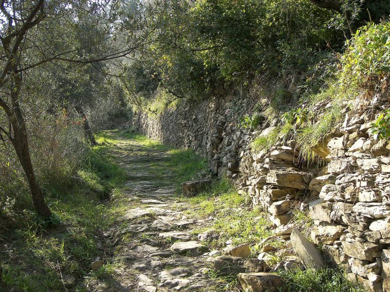 σχεδιάζεται-μονοπάτι-που-θα-συνδέει-τ-377525