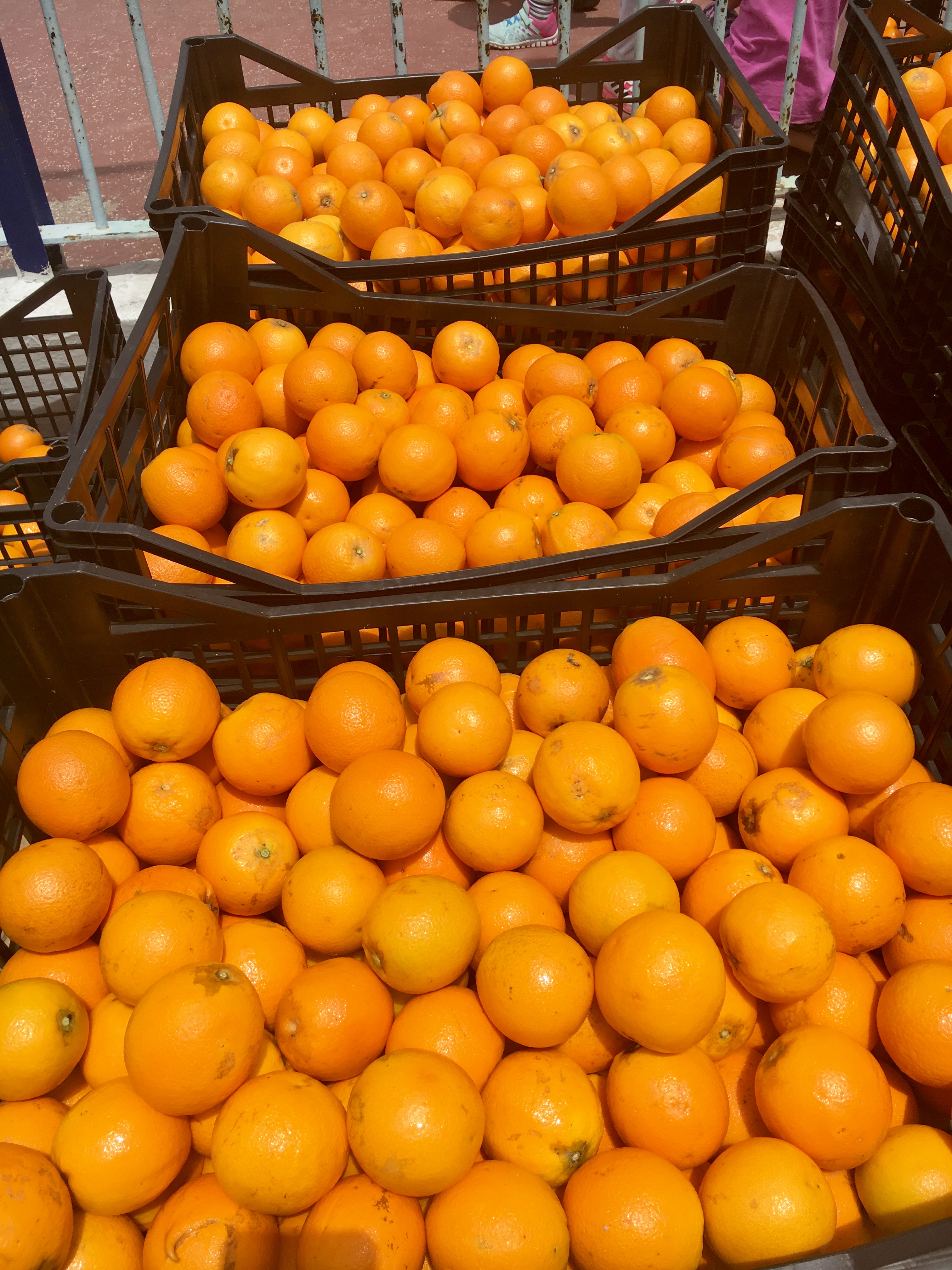 αποζημίωση-για-τους-παραγωγούς-πορτο-370223