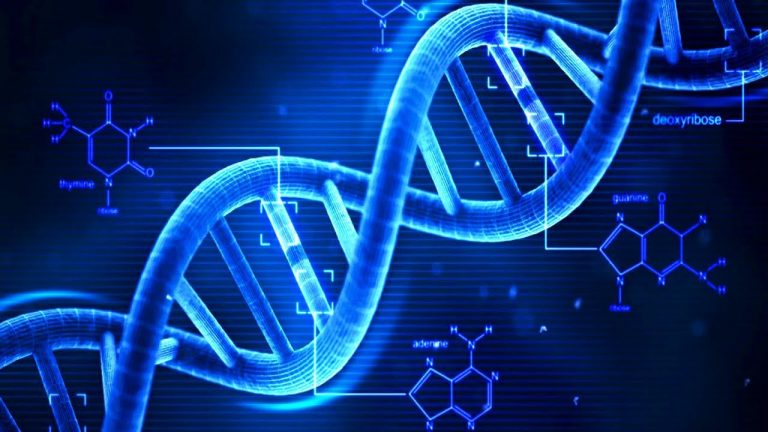 έρευνα-το-dna-συνδέεται-με-το-σύμπαν-χωρο-367740