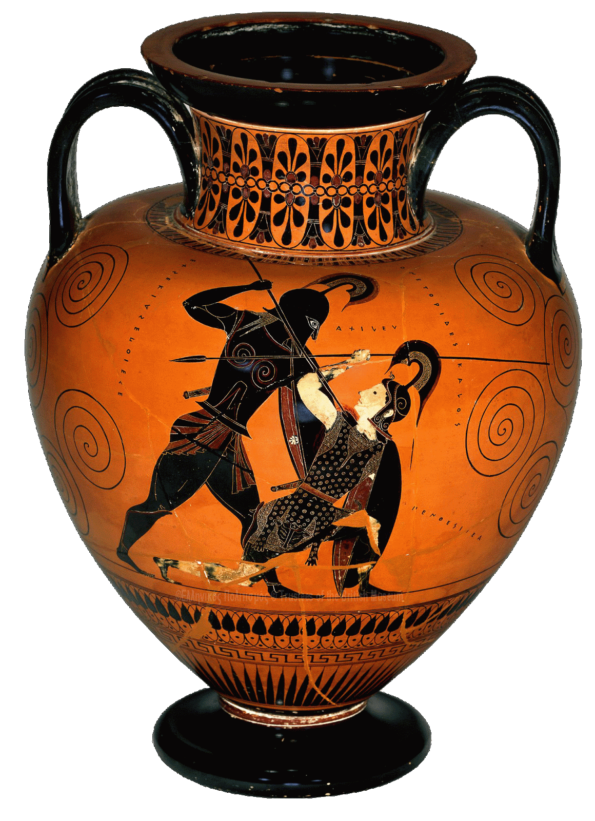 αρχαίος-αμφορέας-στα-δίχτυα-ψαράδων-99418
