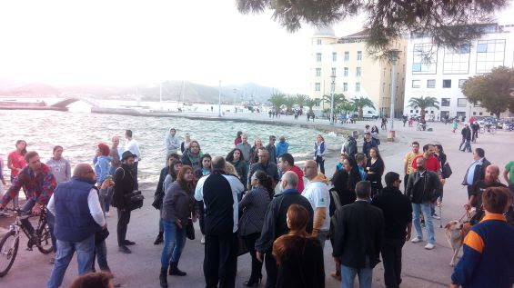 ασπίδαγια-τα-αδέσποτα-οι-κάτοικοι-196570