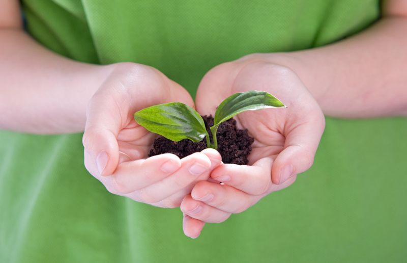 η-περιβαλλοντική-λογική-που-διέπει-τα-135762