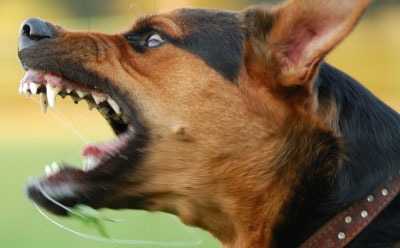 υπ-υγείας-mέτρα-για-την-αντιμετώπιση-κ-263696