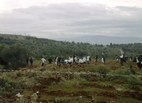 ασδα-δενδροφυτεύσεις-στο-ποικίλο-όρο-264070