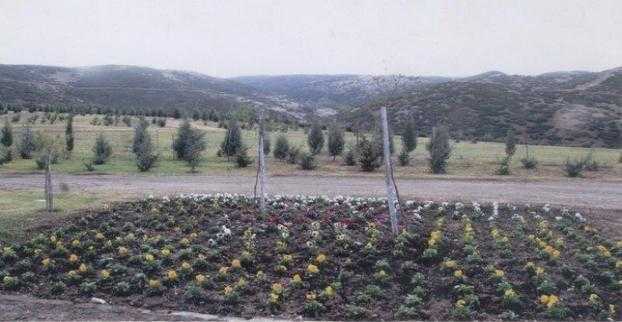 συριζα-εισαγγελέας-στην-αναπλασμένη-267466