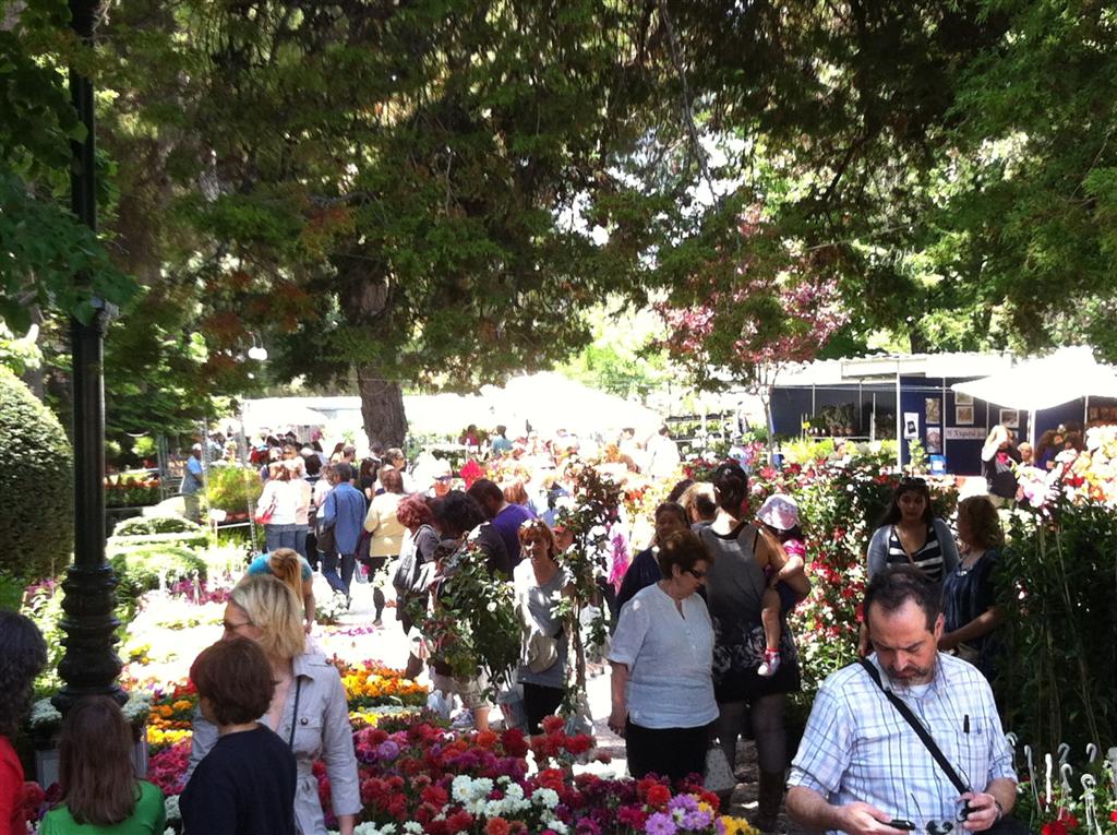 η-αλόννησος-στην-62η-ανθοκομική-έκθεση-κ-114374
