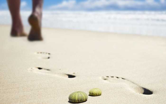 προσοχή-στις-παραλίες-τι-να-κάνετε-εάν-212422