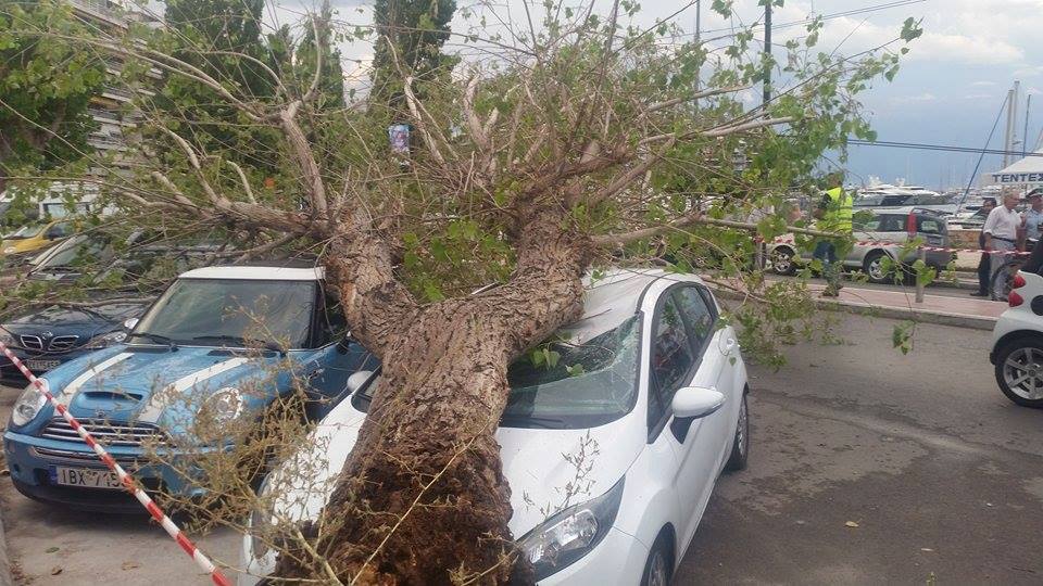 πειραιάς-δέντρα-έπεσαν-πάνω-σε-αυτοκί-105430