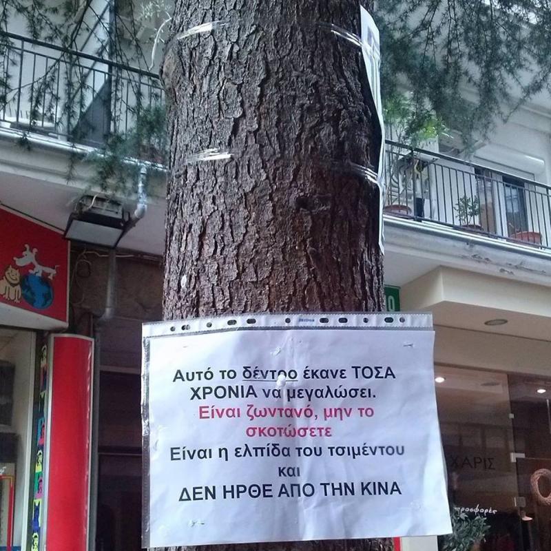 θεσσαλονίκηκρεμάστηκε-στο-δέντρο-γι-181302