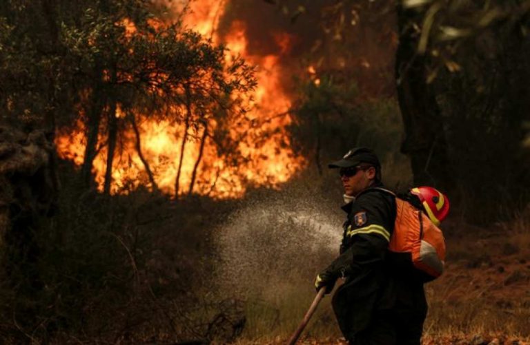 φωτιά-κοντά-στο-γύθειο-96780