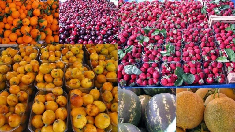 τα-φρούτα-μειώνουν-έως-40-τον-καρδιαγγει-203536