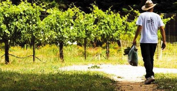 γεωπόνοι-ζητούν-παράταση-για-το-αγροτ-269788