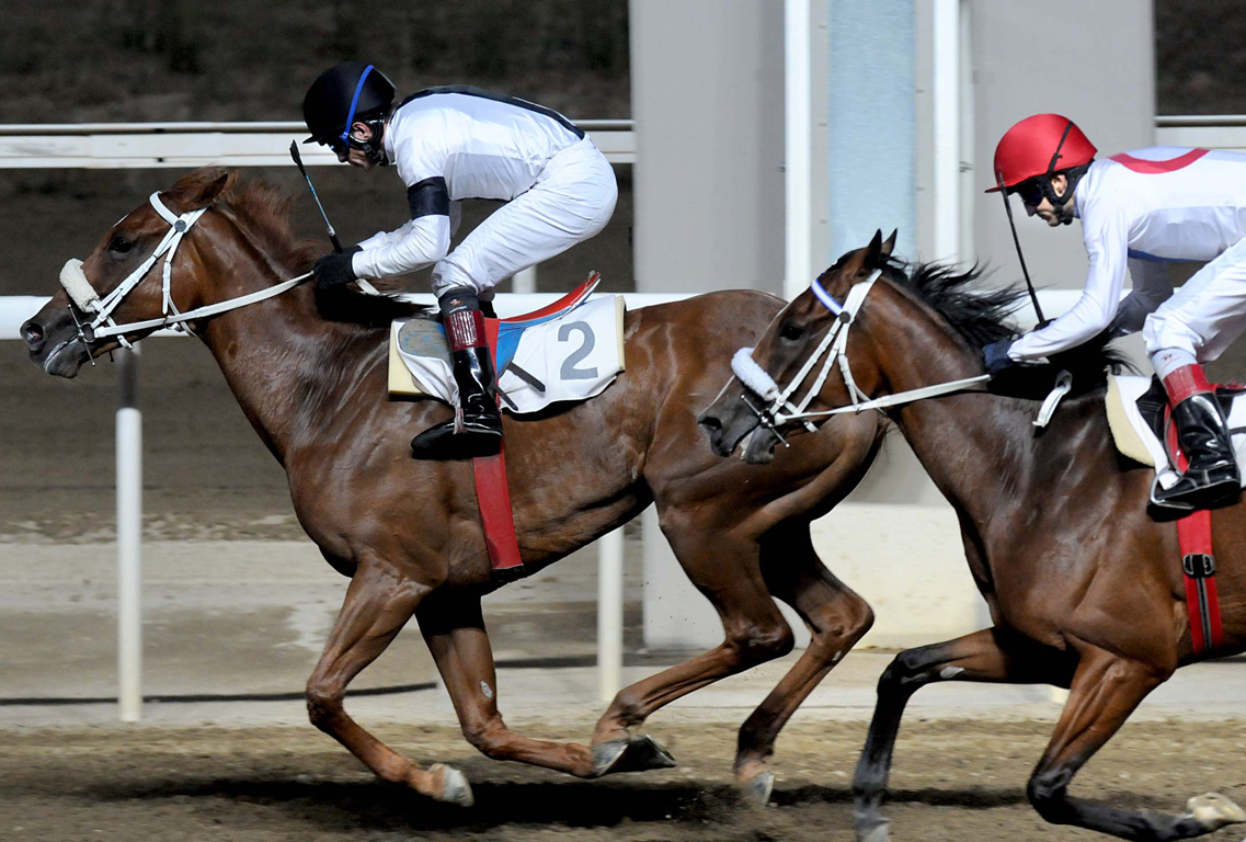 ασφάλιση-χωρίς-ένσημα-στους-αναβάτες-57480