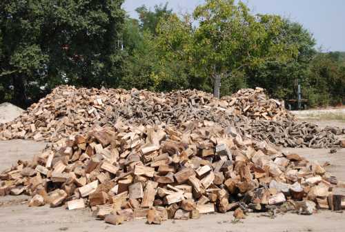 ρυθμιστική-διάταξη-για-τον-περιορισμ-274140