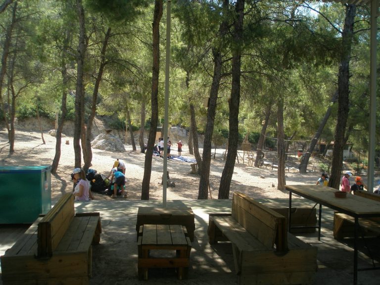 προσλήψεις-39-ατόμων-στη-δηµοτική-κατασ-52590
