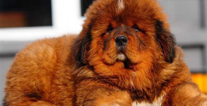 απίστευτο-και-όμως-αληθινό-γεννήθηκα-213278