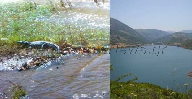 νυχτερινή-ενέδρα-για-τον-σήφη-208438
