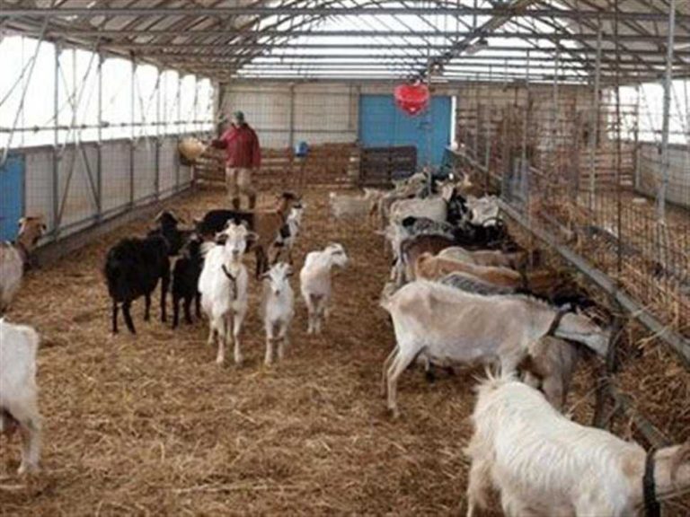 πραγματοποιήθηκε-και-η-τρίτη-πληρωμή-272374