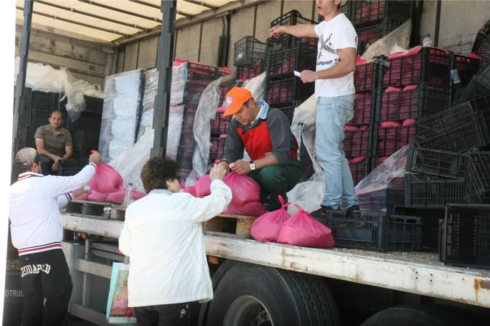 προϊόντα-χωρίς-μεσάζοντες-στον-δήμο-α-258406