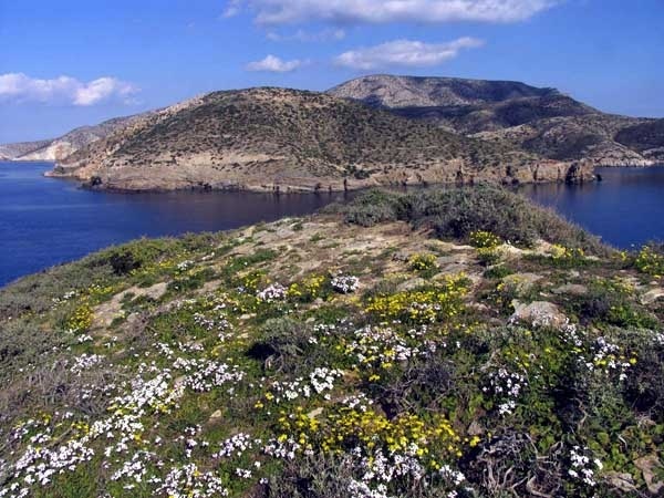 διοικητικό-αλαλούμ-στις-μικρές-κυκλά-291747