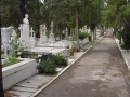 πάτρα-κυνηγούσαν-pokemon-σε-νεκροταφείο-τη-ν-101154
