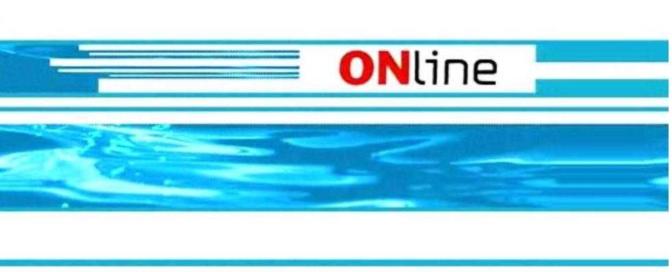 η-κρίση-δεν-αγγίζει-την-on-line-διαφήμιση-257014