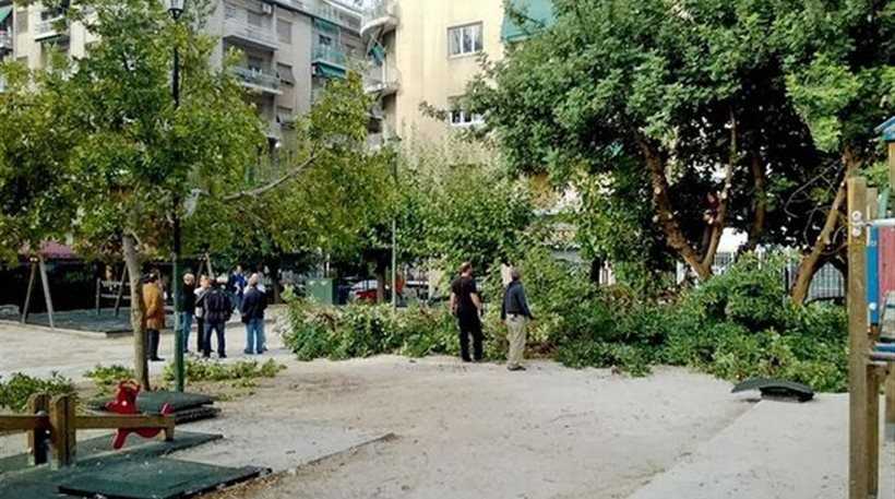 γιατί-δεν-ανοίγει-η-παιδική-χαρά-του-αγ-244784