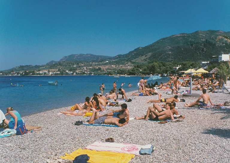 πάτρα-γιγάντιο-τρωκτικό-με-δόντια-κάσ-285002