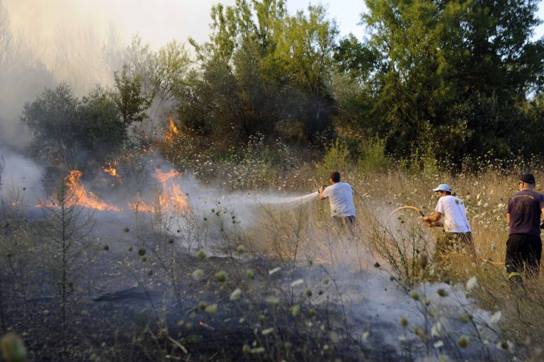 πρόσληψη-3-εργατών-στο-δ-ηγουμενίτσας-105792