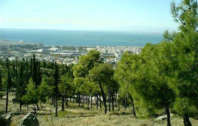 κλειστό-το-σέιχ-σου-λόγω-υψηλού-κινδύν-18988