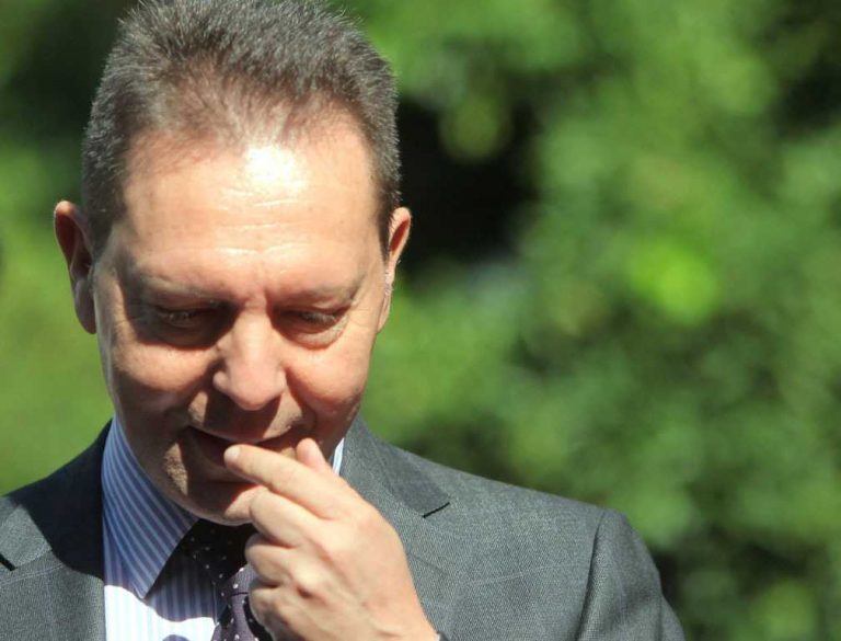 στουρνάρας-άρση-των-κεφαλαιακών-ελέγ-243888