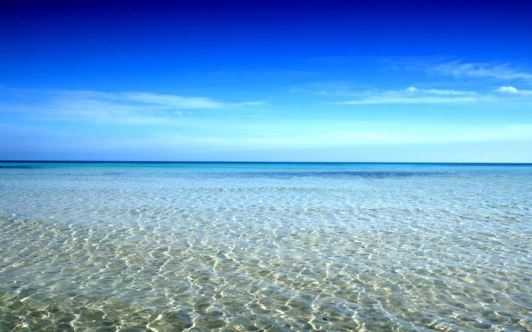 τελευταία-βουτιά-για-61χρονο-καθηγητή-τ-8546