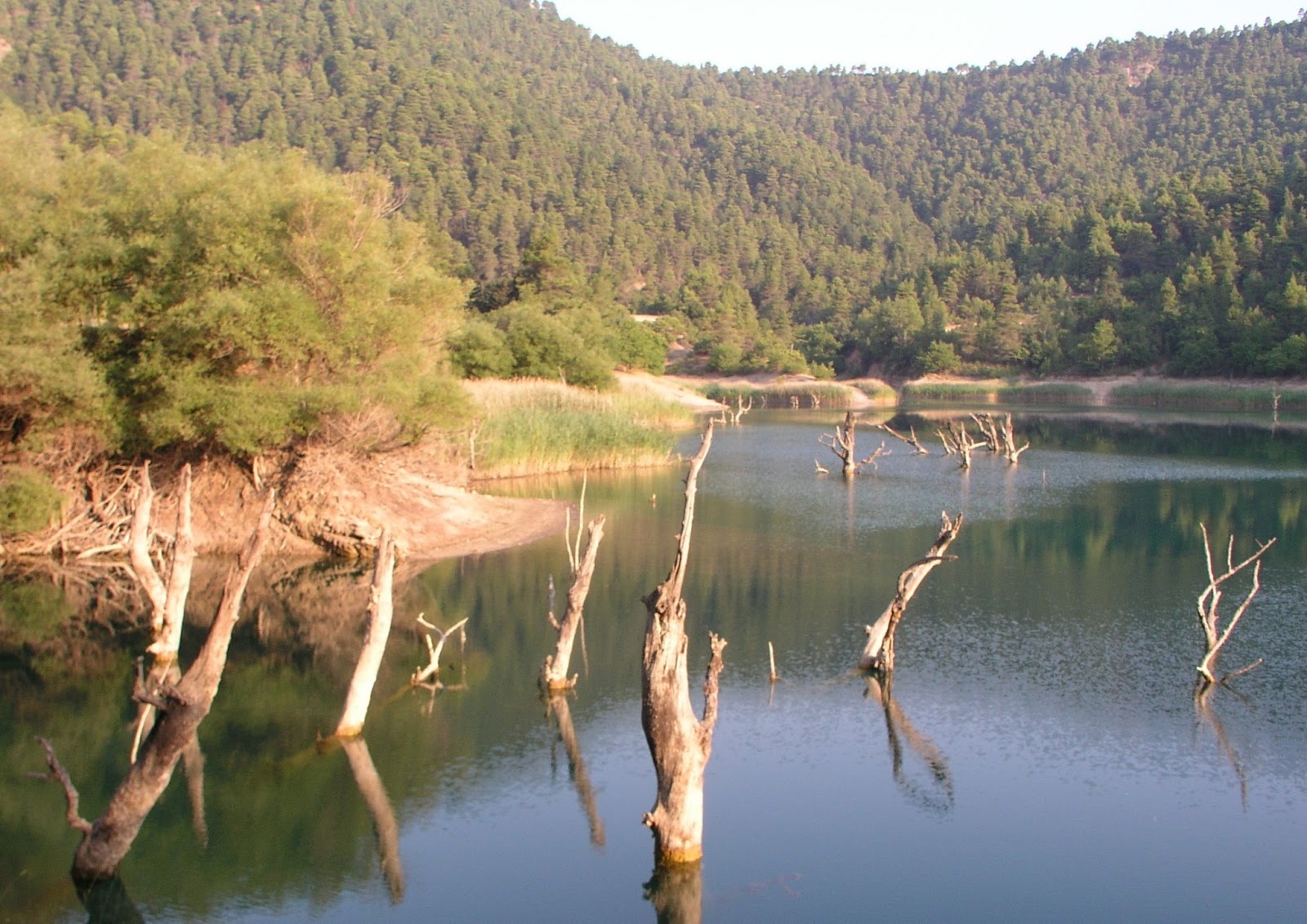 ο-δήμος-δώδωνης-εντάχθηκε-στο-δίκτυο-π-52520