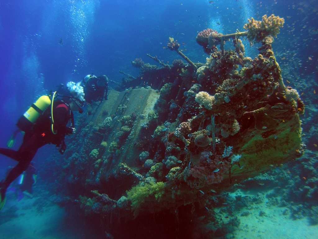 απίστευτη-ανακάλυψη-από-έλληνες-ερευ-208222