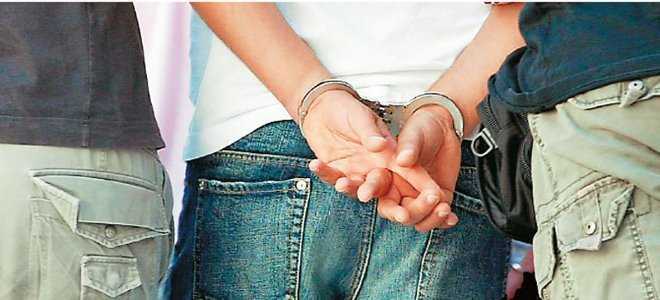 μετέτρεψε-το-σπίτι-του-σε-κέντρο-αγορα-217190