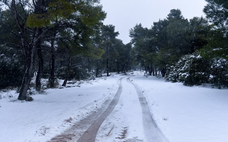 δ-λαρισαίων-σε-24ωρη-ετοιμότητα-για-πιθ-68280