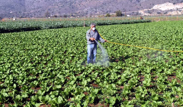 προσλήψεις-9-ατόμων-στον-γοεβ-πεδιάδων-406833