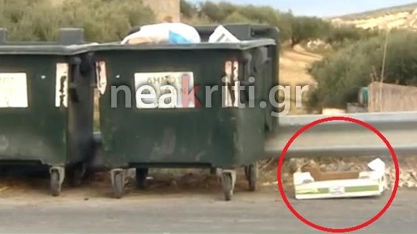 φρίκη-στην-κρήτη-πολτοποίησαν-κουταβ-407715