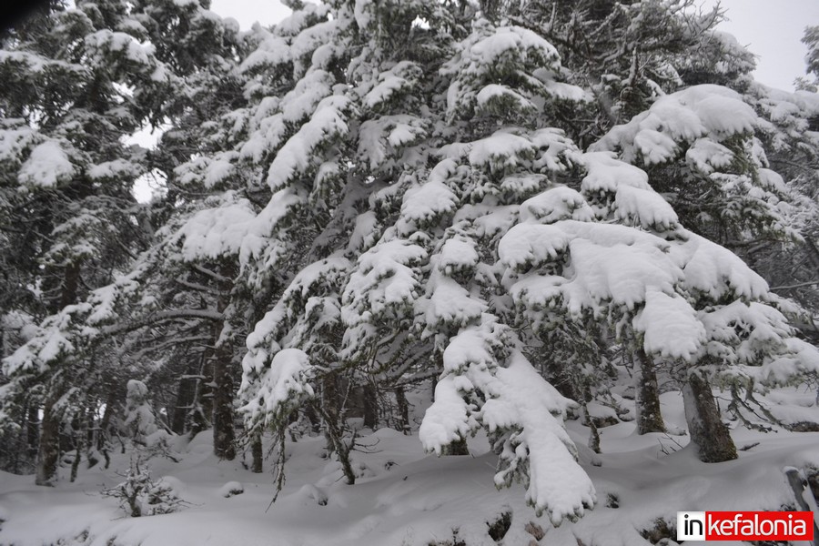 έκτακτο-δελτίο-επιδείνωσης-του-καιρο-427130