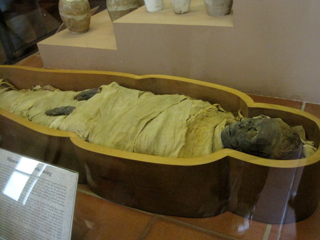 ελληνίδα-μελέτησε-το-dna-από-δύο-αιγυπτι-435689