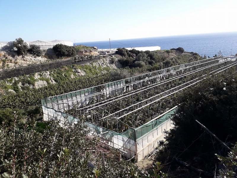 αυτοκτόνησε-μέσα-στο-θερμοκήπιό-του-440674