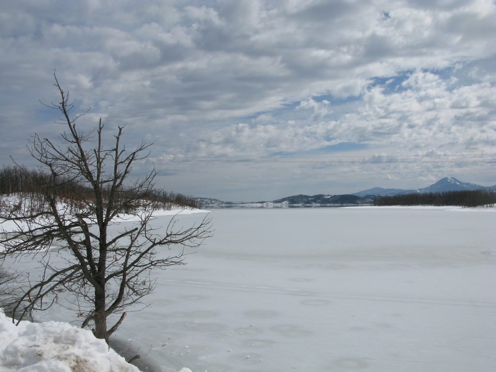 πέθανε-11χρονος-προσπαθώντας-να-σώσει-φ-443831