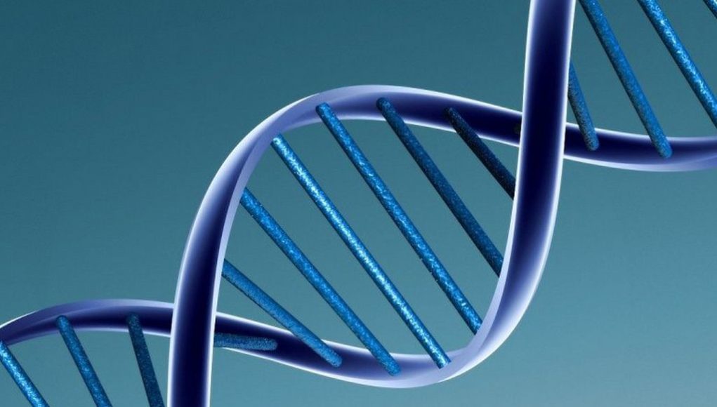 το-dna-των-κατσαρίδων-αποκαλύπτει-γιατί-457333